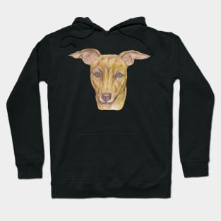 Cute Yellow Greyhound Dog Hoodie